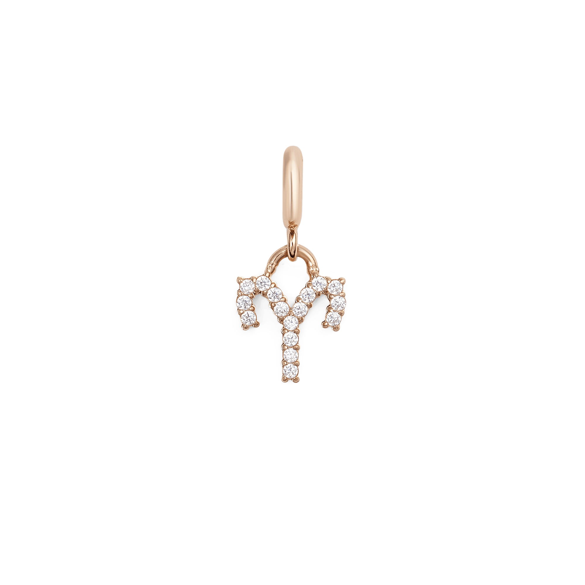 Daniel Wellington Zodiac Watch Charm Rose Gold