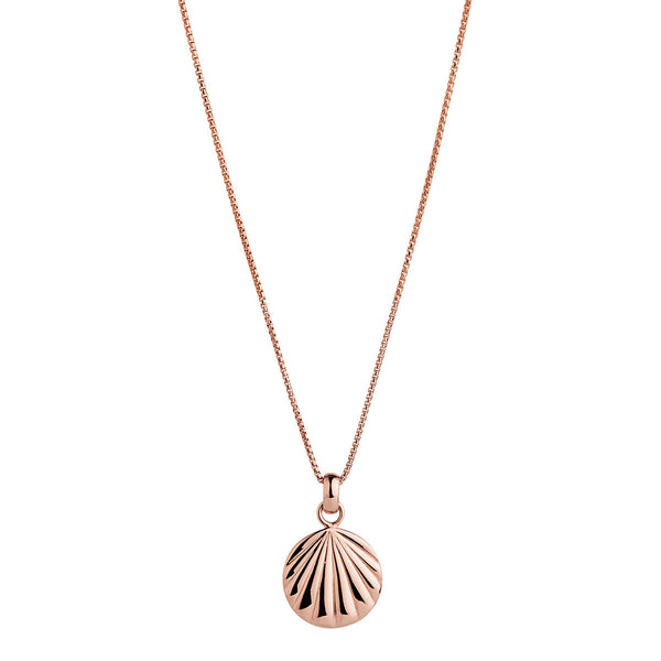 Seashell Rose Gold Pendant Necklace (45cm+ext)