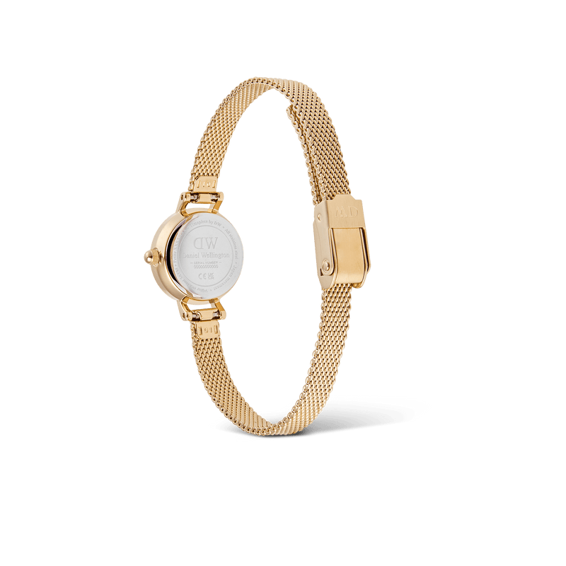 Daniel Wellington Petite Mini Evergold Watch